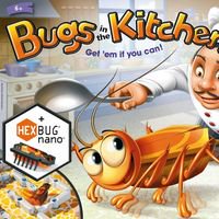 Bugs in the Kitchen