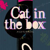 Cat in the box