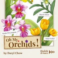 Oh My. Orchids!