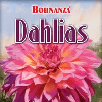 Bohnanza: Dahlias