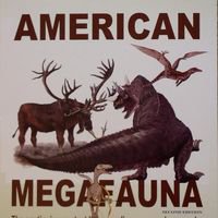 American Megafauna